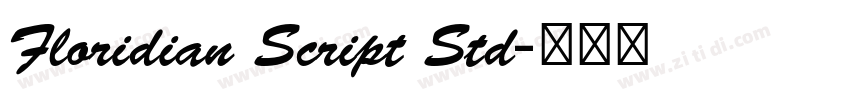 Floridian Script Std字体转换